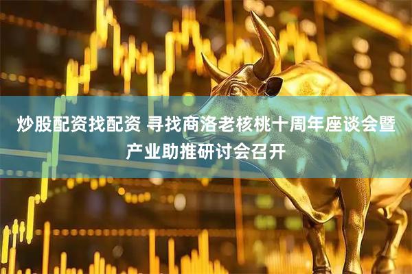 炒股配资找配资 寻找商洛老核桃十周年座谈会暨产业助推研讨会召开