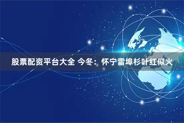 股票配资平台大全 今冬：怀宁雷埠杉叶红似火
