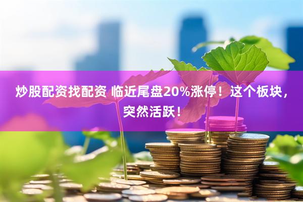 炒股配资找配资 临近尾盘20%涨停！这个板块，突然活跃！